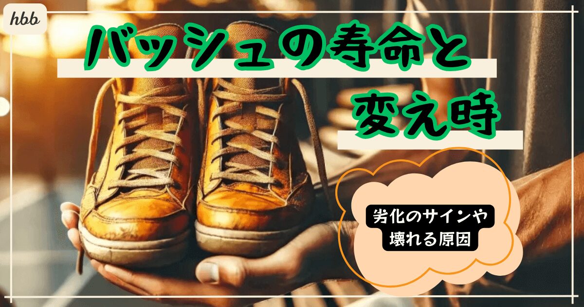 バッシュの変え時トップ画像